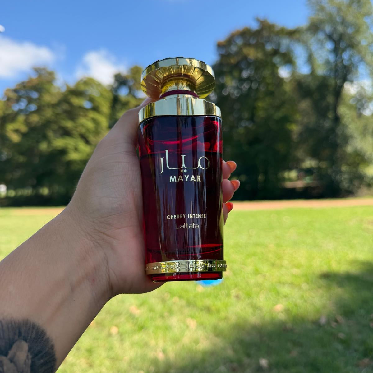 Mayar Cherry Intense