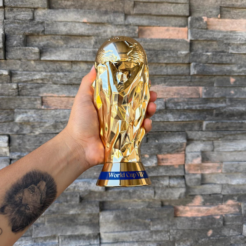 World Cup VIP