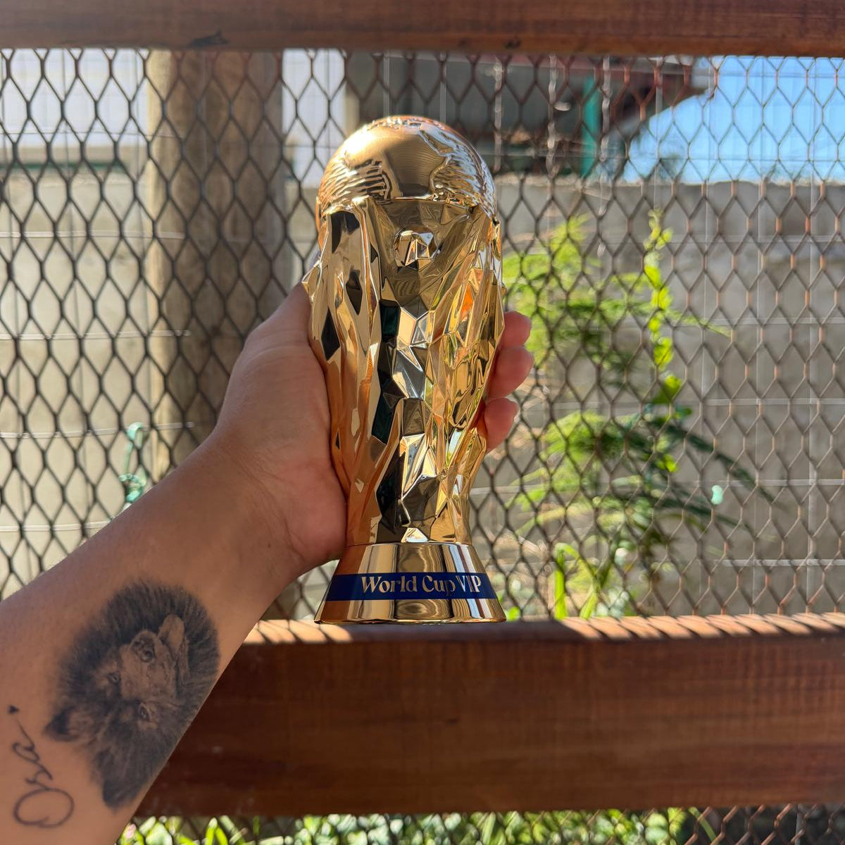 World Cup VIP