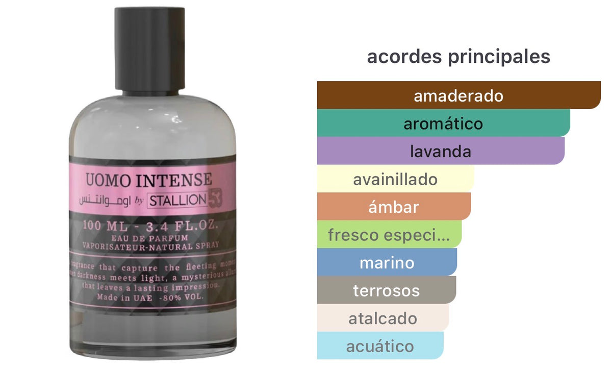 Uomo Intense - Stallion 53